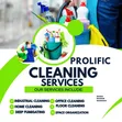 Prolific Cleaning Service - 2