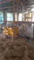 Rinjiyar Kaji don Hayarwa - 2k Karfin Broiler - 4