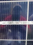650W Longi Solar Panel (144 Cells) - 2