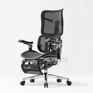 Ergonomic Office Chair