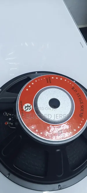 R O Stage Sound Naked Speaker 15 Inch