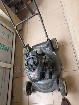 Lawn Mower Na Biyu