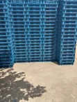 Strong Harvesting Crate - Brand New - 1