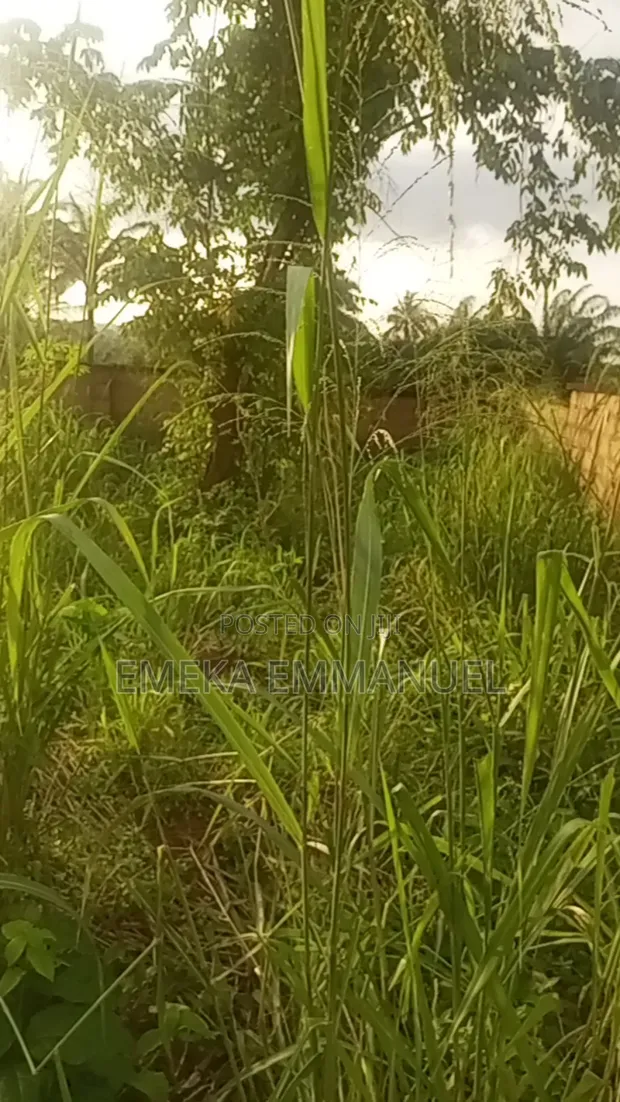 1 Plot of Land for Sale in Nibo, Awka - 1
