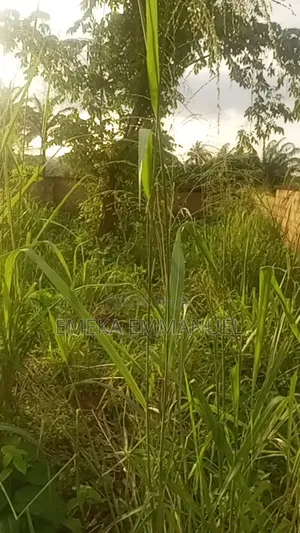1 Plot of Land for Sale in Nibo, Awka