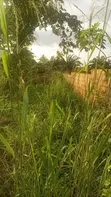 1 Plot na Sayarwa a Nibo, Awka - 2