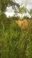 1 Plot na Sayarwa a Nibo, Awka - 3
