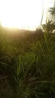 1 Plot na Sayarwa a Nibo, Awka - 4