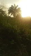 1 Plot na Sayarwa a Nibo, Awka - 5