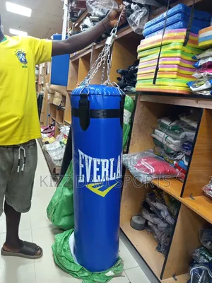 Brand New Everlast Punching Bag