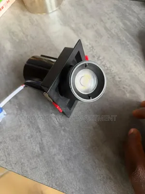 Adjustable Spot/Parapet Light