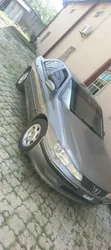 Peugeot 406 2005 Gray - 2