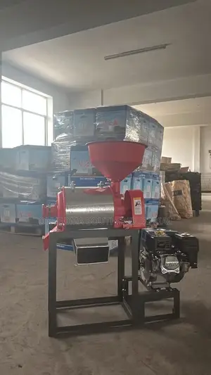 Mini Rice Mill and Grain Grinding/Polishing Machine