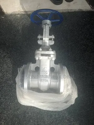 Steel Gate Valve 4" x 150