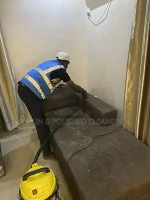 Professional Sofa Cleaning Service
