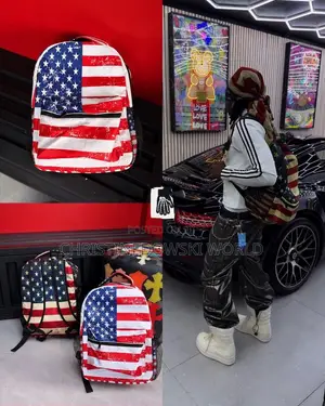USA Backpack - Brand New