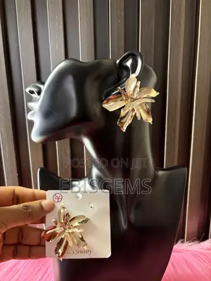 Gift Worthy Stainless Steel Earrings
