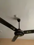 Neatly Used Ox Ceiling Fan - 1