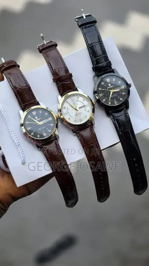 Aigner Men's Luxury Leather Wristwatch