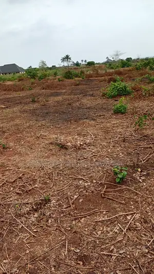 Sweet Table Land for Sale, Oshimili North