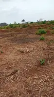 Sweet Table Land for Sale, Oshimili North - 1