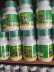 Lara Force Gold Insecticide - 1