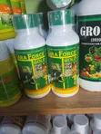 Lara Force Gold Insecticide - 2