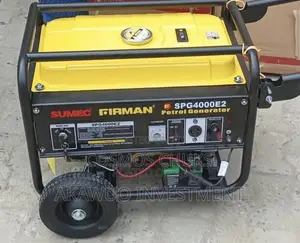 Firman Generator 230V