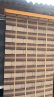 Zebra Window Blind Rana & Dare - 3ft - 1