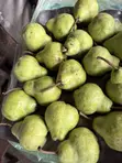 Fresh Fruits and Vegetables Sourced to Your Budget - 4