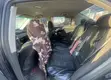 Toyota Corolla 2009 Manual - 2