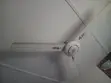 Ox Ceiling Fan - 1
