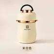 Alijin Food Flask - 1