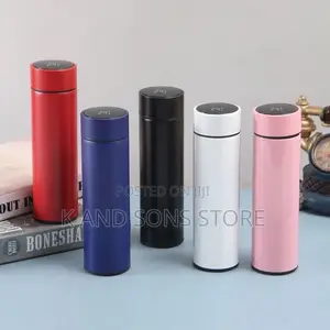 Temperature Water Flask - 500ml