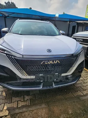 Sabon Dongfeng Rich Excellence Edition 2026 Grey