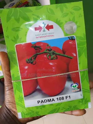 Padma 108 F1 Hybrid Tumatur