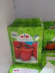 Padma 108 F1 Hybrid Tumatur - 2