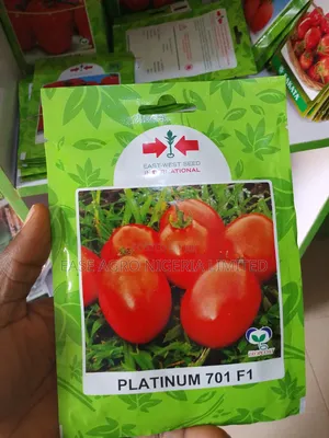 Tsaba na Tumatur na Platinum 701 F1