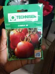 Cobra 26 F1 Hybrid Tomato Seeds - 1
