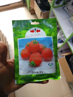Diva F1 Hybrid Tomato Seeds (50g)