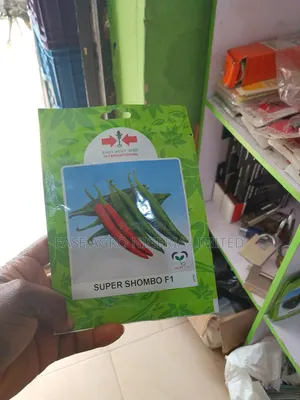 Tsaba na Barkono Cayenne mai suna Super Shombo F1