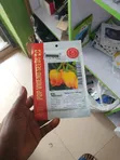 Habanero Yellow Bired - 1