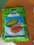 Red Royale F1 Pawpaw Seeds - 1