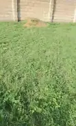 Residential Land for Sale in Osogbo - 2