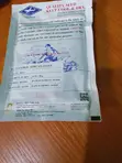 African Giant F1 Cucumber Seeds - 2