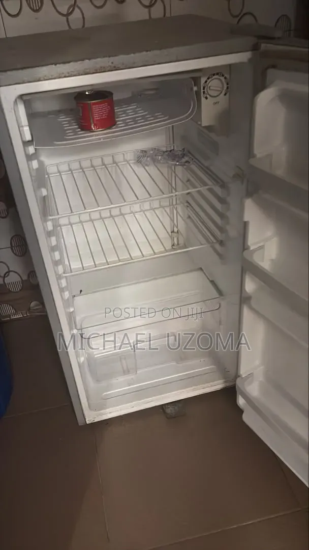 LG Standing Refrigerator - 1