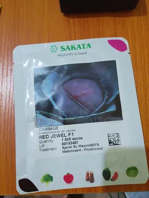Sakata Red Jewel F1 Hybrid Kabeji