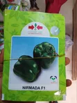 Nirmada F1 Hybrid Bell Pepper Seeds - 1