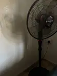 Fan Binatone - Na Biyu - 1