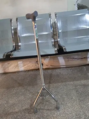 Tripod Walking Stick